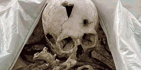 oja izgubljena generacija Vladimira Tomića