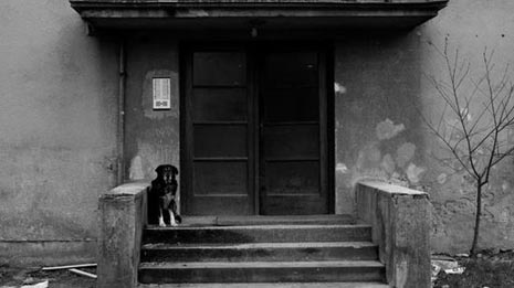 Moji dobri i lijepi prijatelji