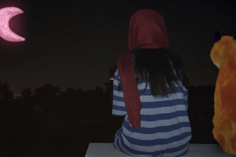 <em>Lisica pod ružičastim Mjesecom</em> (<em>Roobah va Mah soorati</em>), red. Mehrdad Oskouei, Soraya Akhlaghi